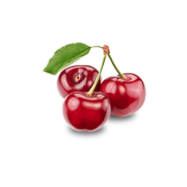 Branch Apple - Görsel 3