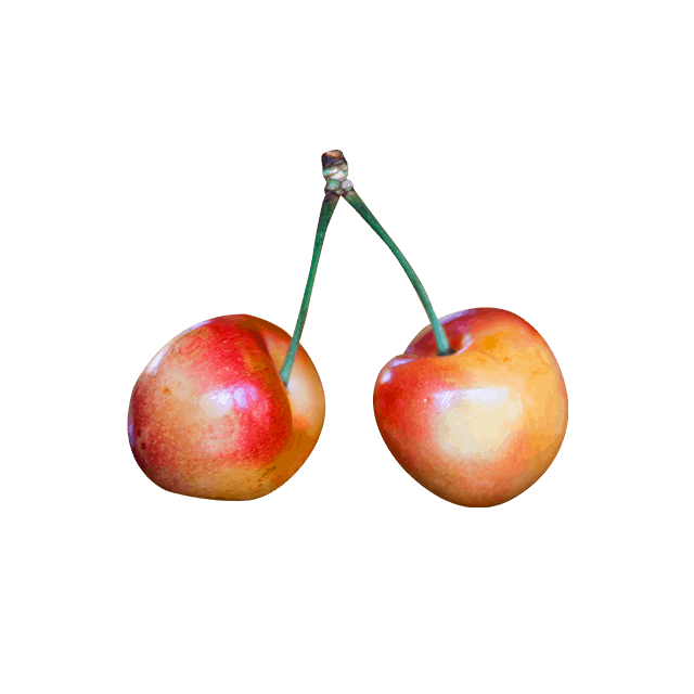 Branch Apple - Görsel 4
