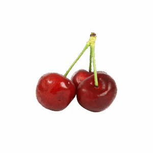 Branch Apple